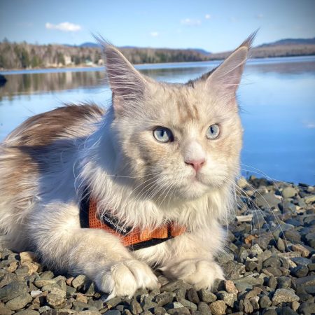 IMG_1552-1-scaled-e1650388662574